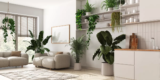 Sustainable Home Decor: Eco-Friendly Ideas for a Greener Space